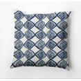 thumbnail image 1 of Simply Daisy Cowry Check Outdoor Pillow, Blue/White, 20 in x 20 in, 1 of 5