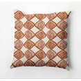 thumbnail image 1 of Simply Daisy Cowry Check Outdoor Pillow, Orange/White, 14 in x 20 in, 1 of 5