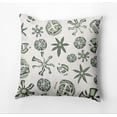 thumbnail image 1 of Simply Daisy Fossil Formation Outdoor Pillow, Green, 16 in x 16 in, 1 of 5