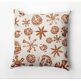 thumbnail image 1 of Simply Daisy Fossil Formation Outdoor Pillow, Orange, 18 in x 18 in, 1 of 5