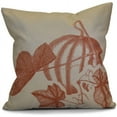 thumbnail image 1 of Simply Daisy Stagecoach Floral Print Outdoor Pillow, 1 of 2