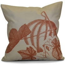 Simply Daisy Stagecoach Floral Print Outdoor Pillow