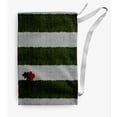 thumbnail image 1 of Simply Daisy Stripes with a Sprig of Holly 18 x 29 in Green-Grey Laundry Bag, 1 of 3