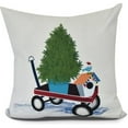 thumbnail image 1 of Simply Daisy, Take Me Home Geometric Print Outdoor Pillow, 1 of 2