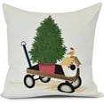 thumbnail image 1 of Simply Daisy, Take Me Home Geometric Print Outdoor Pillow, 1 of 2