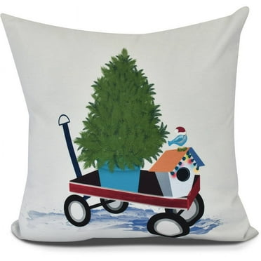 Simply Daisy, Take Me Home Geometric Print Outdoor Pillow