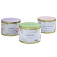 thumbnail image 1 of Simply Indulgent Candle 3 Pack, 1 of 3