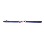 Simpson Racing 29004BL Lap Belt - SFI 16.1 - Latch & Link - 62 inch - Pull Up - Floor Mount - Blue