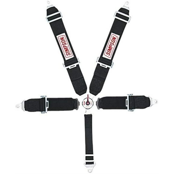 Simpson Safety 29108BK 55 in. Cam-Lock Pull-Down Bolt-In 5-Point Harness System - Black