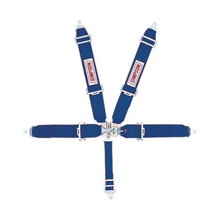 Simpson Safety 55 in. Latch & Link Pull Up 5 Point Harness System 55in.