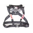 thumbnail image 1 of Simpson Safety  PA FIA Hybrid Sport with Sliding Tether - Large, 1 of 1