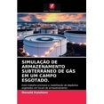 thumbnail image 1 of Simulação de Armazenamento Subterrâneo de Gás Em Um Campo Esgotado. (Paperback), 1 of 1
