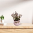 thumbnail image 1 of Simulated Flower Artificial Potted Plant Mini Simulated Flower Small Bloom Style in Pink Pot Faux Greenery Home Office Desk Shelf Decor Modern Photography Prop Styling Accessory, 1 of 7