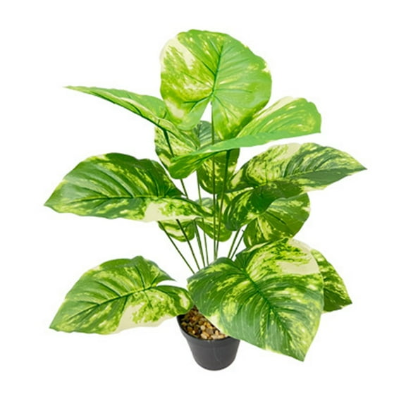 Simulated Green Plant 12 Leaves Spotted Green Radish Placed On The Ground