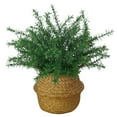 thumbnail image 1 of Simulated Green Plant Bunch Artificial Flower Decoration 1Pcs Rosemary,Simulated Green Plant*1,Decor Faux Greenery Stems Green Decor Artificial Flowers Bulk for Wedding, 1 of 7