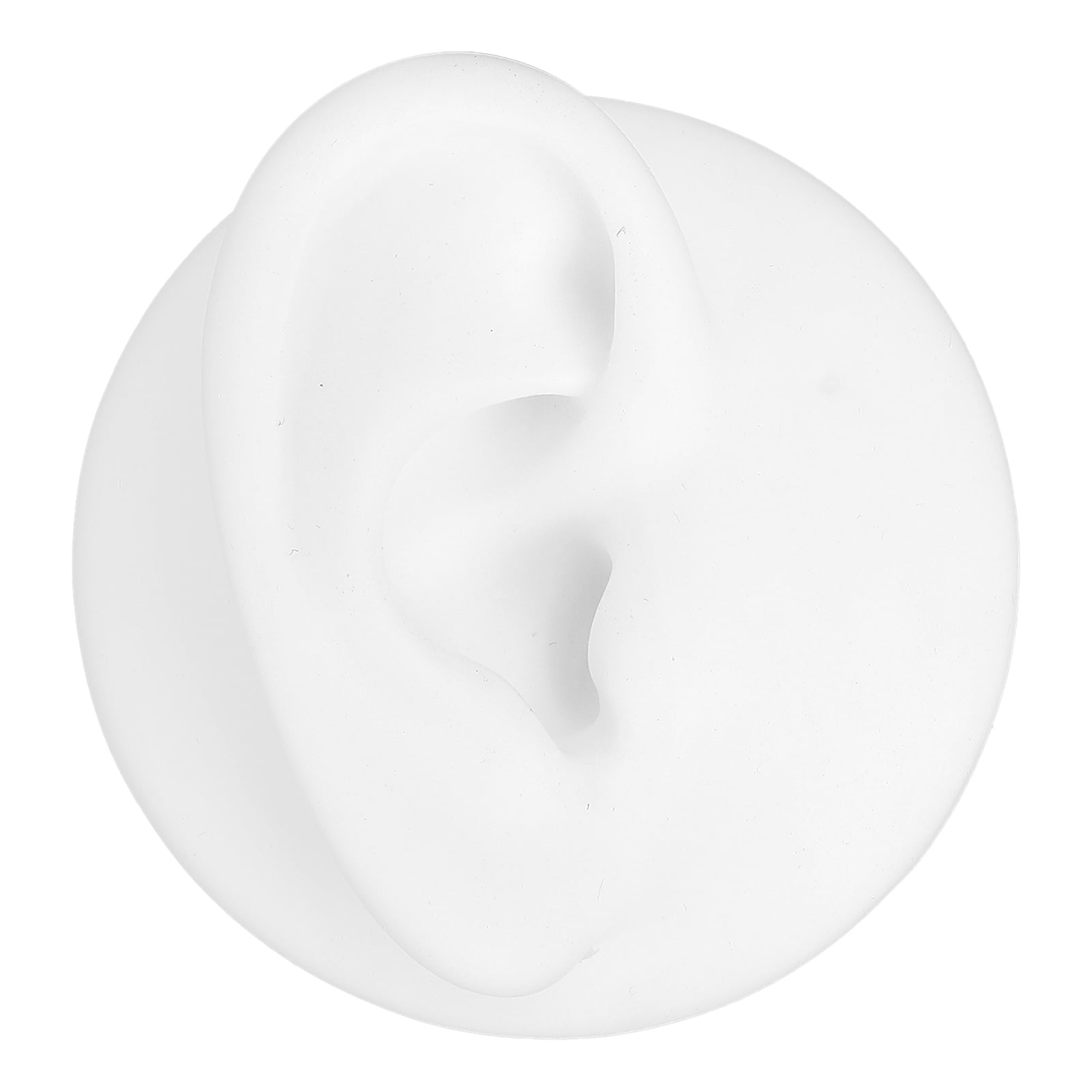 Simulated human ear display for learning training left right