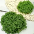 thumbnail image 1 of Simulated Moss Mat for DIY Landscaping, Artificial Grass Turf for Potted Greenerys and Craft Projects, 1-Piece, 1 of 8