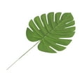 The Shocking Truth About Palm Leaf Names - k7m0ykh