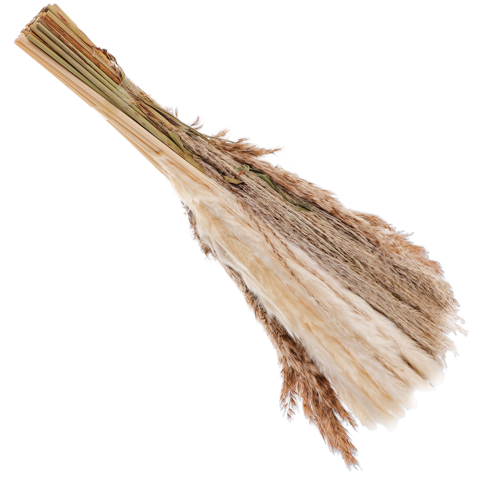 Simulated Reed Grass Home Decor Layout Props Plant 17 Inch Pampas Fake ...