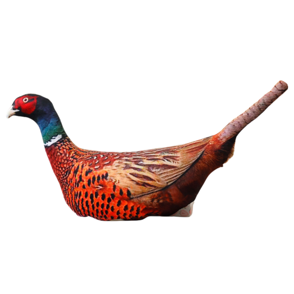 Simulation 3D Bird Plush Toy Stuffed Animal Goose Hen Duck Pigeon Parrot Wild Chicken Mandarin Duck Pillow