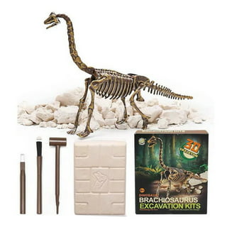 National Geographic Mega Fossil Dig Kit Excavate 15 Real Fossils Including