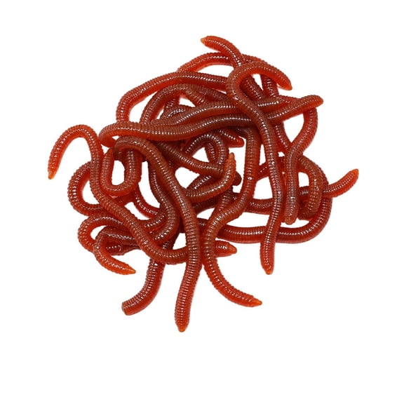 Simulation Earthworm Soft Fishing Lures Shrimp Scented Artificial Worm Bait Fake Red Plastic Wacky Power Fish Bites for Bass Trout Freshwater Saltwater Halloween Lifelike Trick Sensory Bin Items