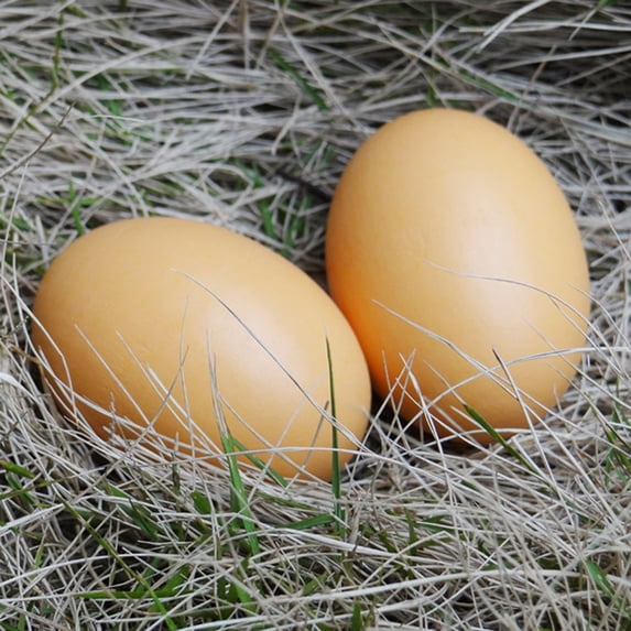 Simulation Easter Eggs,Wooden Easter Egg Solid Fake Egg 2.3 Inch Decorative Craft Egg for Easter Decoration Painting DIY Home Spring Decor