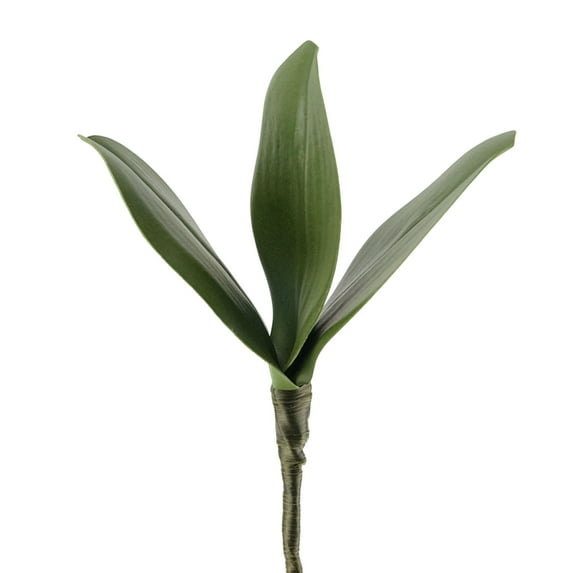 Simulation Leaves Non-Wilting Fake Phalaenopsis Orchid Leaves Home Decor-G