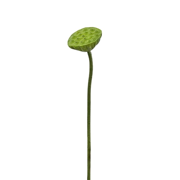 Simulation Lotus Decoration, Mini Lotus Flower Vase Filler Plant Realistic Flower, Lifelike Simulation Flower Arrangement Green