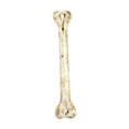 thumbnail image 1 of Simulation Mini Bones Plastic Bone Halloween Decor for Halloween Party Decoration Supplies Home Decoration Accessories DIY Decorations, 1 of 4