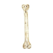 Simulation Mini Bones Plastic Bone Halloween Decor for Halloween Party Decoration Supplies Home Decoration Accessories DIY Decorations