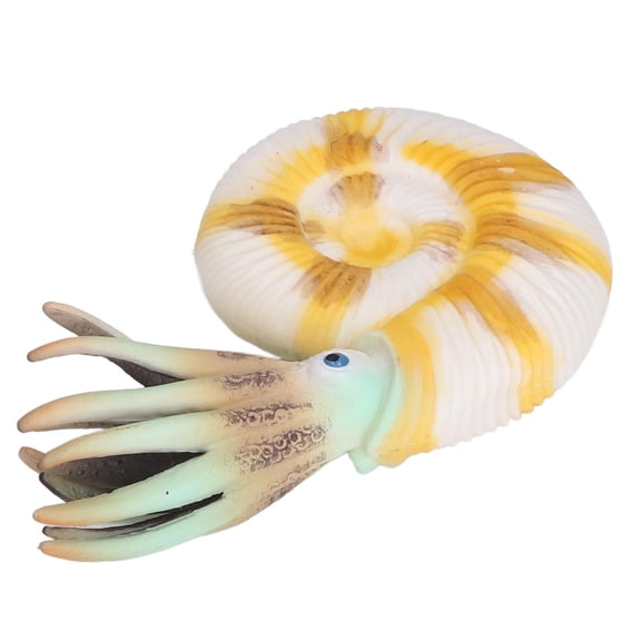 Simulation Model Nautical Sea Animal Toy - Realistic White Nautilus Figurines for Kids, 10 inches / 25.4 cm