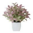 thumbnail image 1 of Simulation Plant Mini Easy to Maintain Weather-resistant Realistic No Watering Decorative Multicolor Table Centerpiece Potted Artificial Plant Living Room Supply, 1 of 7