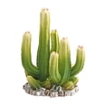 thumbnail image 1 of Simulation Plant Model Wild Plant Scene Sand Table Decoration Ornament, Cactus Decorative Display For Miniature Garden, Home Office Desktop Decoration, Diy Craft Accent, Landscape, 1 of 5