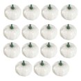 thumbnail image 1 of TABLZONE 15Pcs Creative White Pumpkin Decoration for DIY Painting and Autumn Festival Use, 1 of 7
