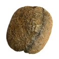 thumbnail image 1 of Simulation Rock Cave Aquariums Hideaway for Fish Shrimp Breeding Terrariums Shelter House Landscape Decorations, 1 of 21