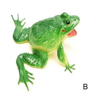 Realistic Frog