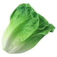 thumbnail image 1 of Simulation lettuce realistic vegetable decoration lettuce PU fake vegetable, 1 of 6