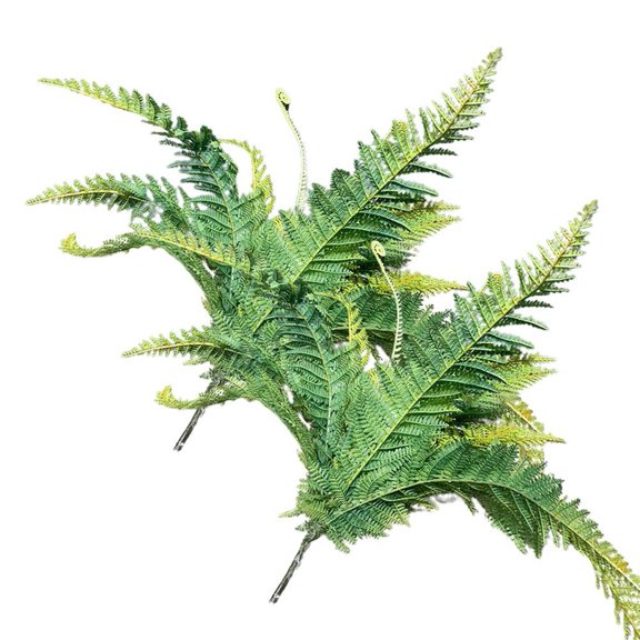 Simulation of Large Persian Grass Fern Bunch Plastic Green Plants Fake Leaves' C0C5