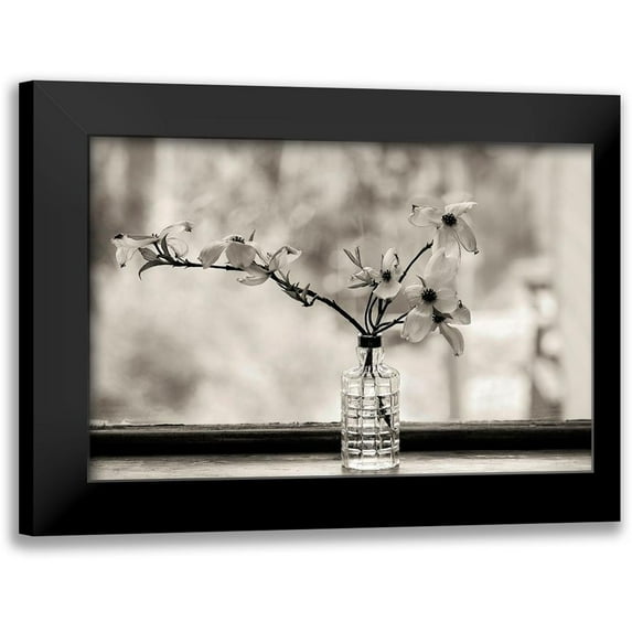 Sinclair, Kelly 18x13 Black Modern Framed Museum Art Print Titled - Wild Dogwood