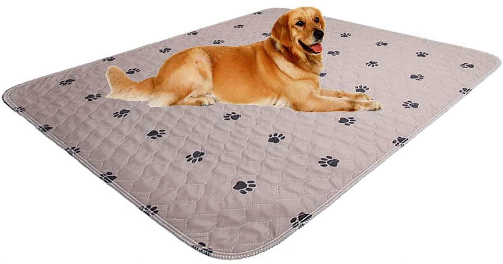 https://i5.walmartimages.com/seo/SincoPet-Reusable-Pee-Pad-Free-Puppy-Grooming-Gloves-Quilted-Fast-Absorbing-Machine-Washable-Dog-Whelping-Pad-Waterproof-Training-Pad-Housebreaking-A_f7465a17-8fac-4f29-afb5-87ab2dddc235.514242ec86aa320db761bbb243a491e7.jpeg