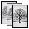 thumbnail image 1 of Sindcom 12x18 Picture Frames, Gallery Wall Poster Frames Set of 3, Black, 1 of 6