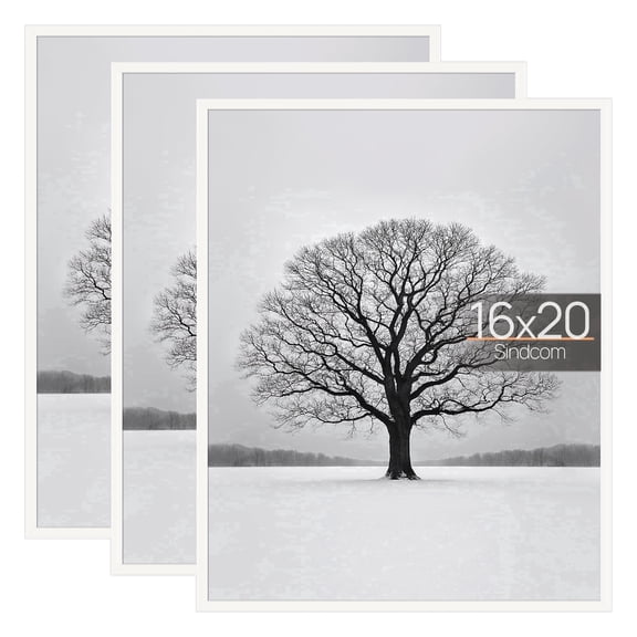Sindcom 16x20 Picture Frames , Gallery Wall Poster Frames Set of 3 , White