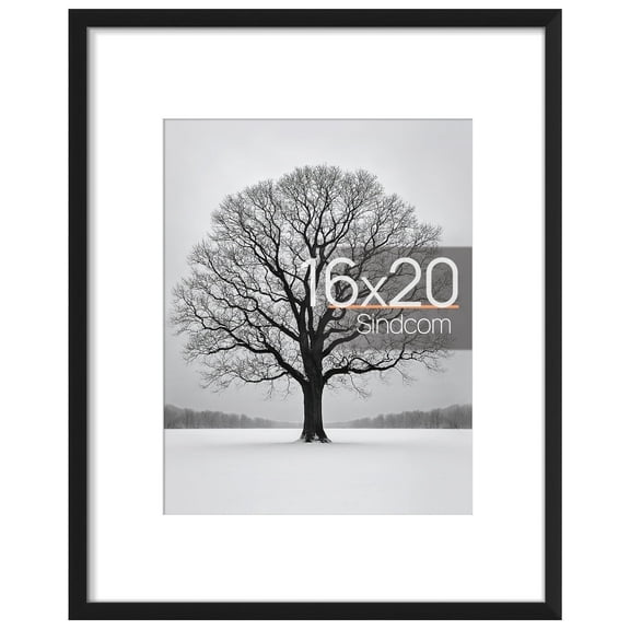 Sindcom 16 x 20 Picture Frame, Black , Gallery Wall Frame