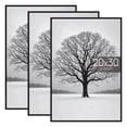 thumbnail image 1 of Sindcom 20x30 Picture Frames, Gallery Wall Poster Frames Set of 3, Black, 1 of 6