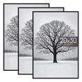 thumbnail image 1 of Sindcom 20x30 Picture Frames, Gallery Wall Poster Frames Set of 3, Black, 1 of 6