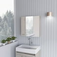 thumbnail image 1 of Sines Medicine Cabinet,Four Internal Shelves,Double Door-Light Gray,Gray Particle Board Bath Faucets Bathroom Storage, 1 of 7