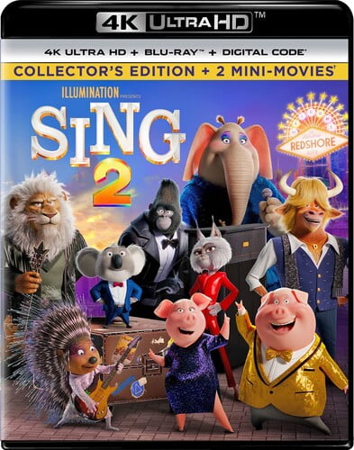 ［DVD］2024 FNC KINGDOM - SING SING SING 商品詳細ページ | FNC JAPAN ONLINE STORE | 【DVD】2024 FNC