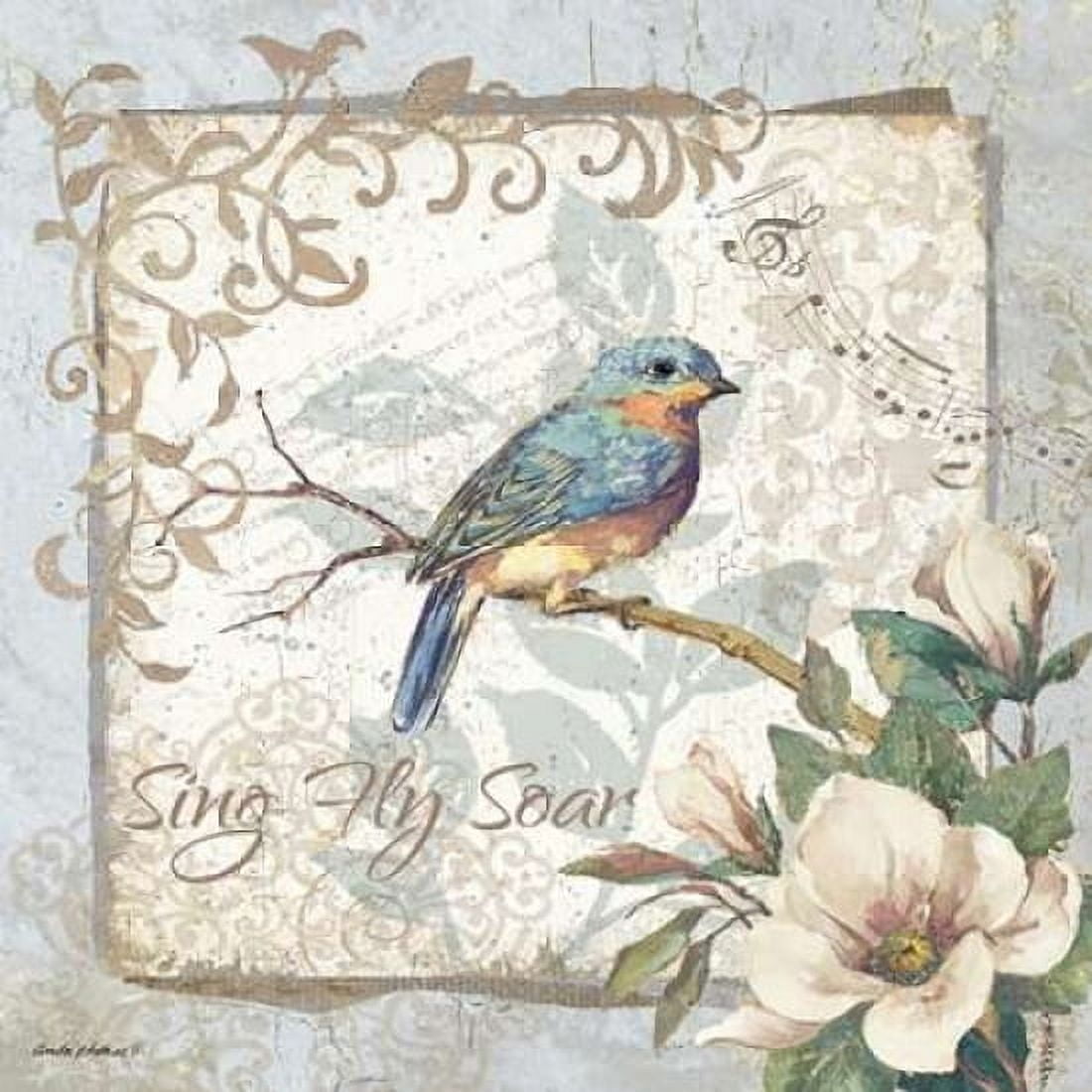 Sing Fly Soar - Border Canvas Art - Anita Phillips (24 x 24)