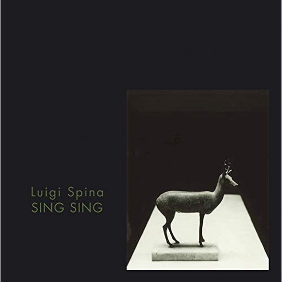 Pre-Owned Sing Sing. Pompeii's Body: II Corpo Di Pompel / Pompeii's Body Hardcover